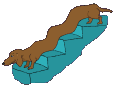 bassotto scale.gif